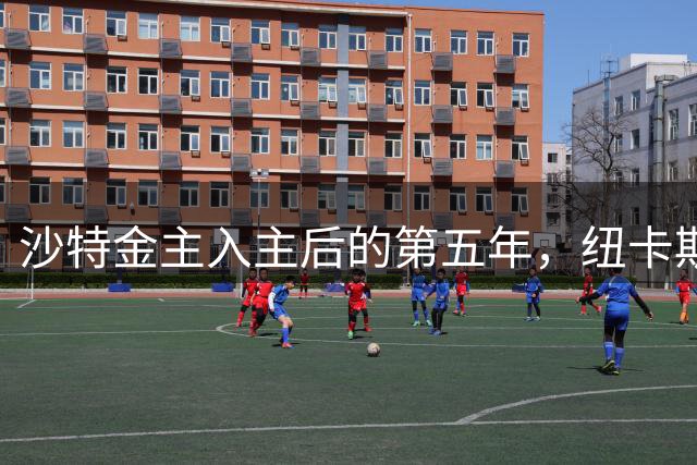 沙特金主入主后的第五年，纽卡斯尔豪购时代终结还是战略转型？